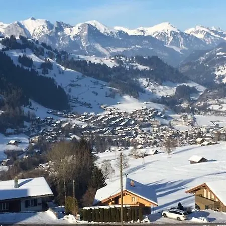 Eggetli Apartment Zweisimmen Exterior photo